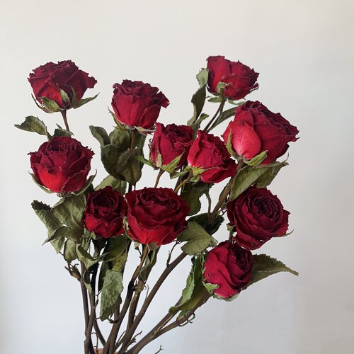 玫瑰花干花花束天然真花相框diy花材客厅家居装饰摆件节日送人