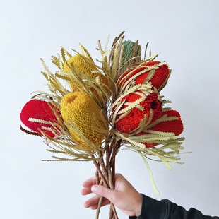 进口天然真花班克木干花花束客厅家居插花摆件样板间轻奢装饰佛塔