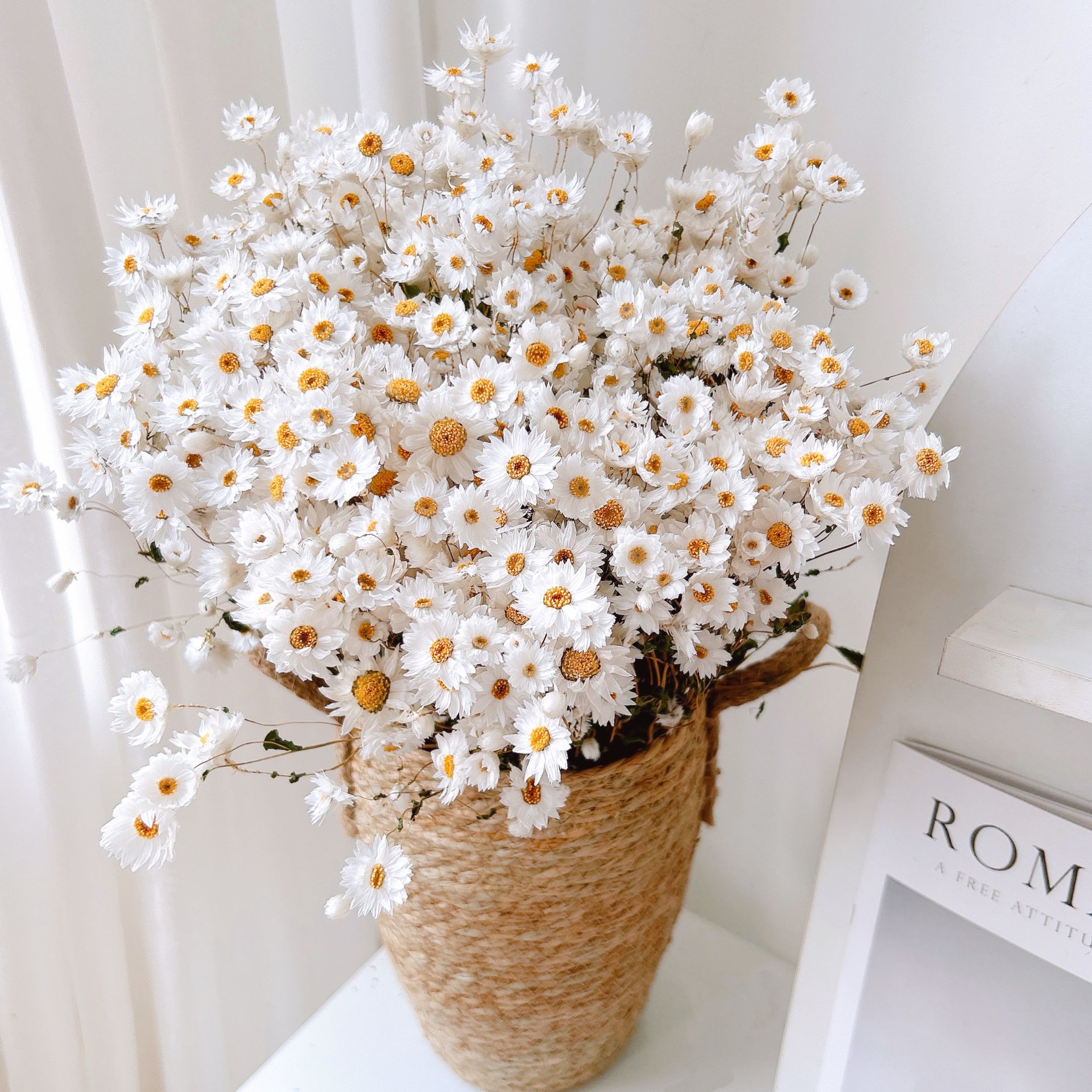 小雏菊真花干花小清新仙气干花