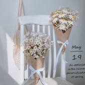 ins小清新小雏菊干花花束挂墙装 饰插花摆件送人礼物文心兰鲁丹鸟