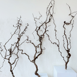 天然植物龙枣枝艺术造景枯枝干枝侘寂风禅意家居插花装饰大落地款