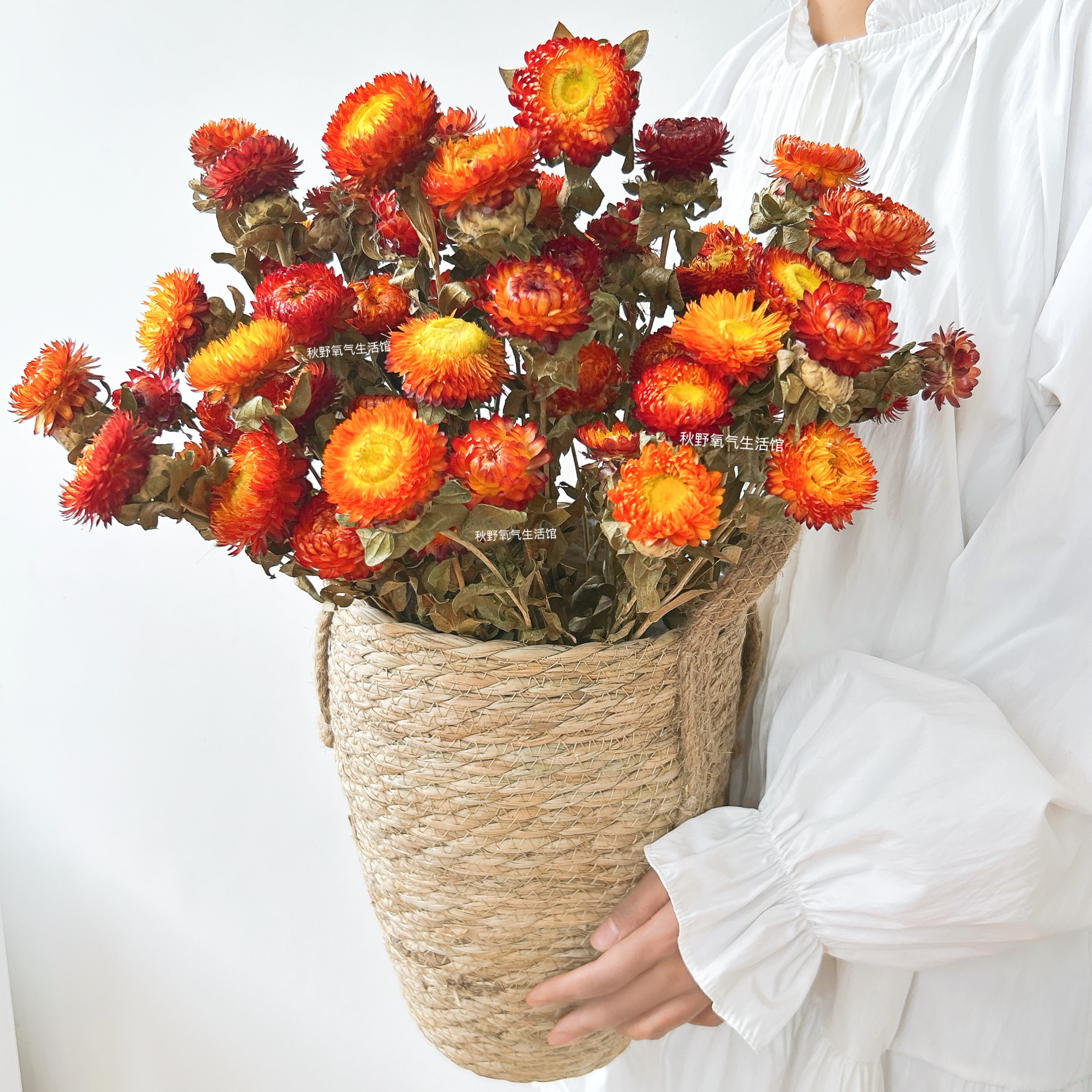 菠萝菊干花天然真花花束红色氛围感家居插花装饰摆设麦秆菊小雏菊
