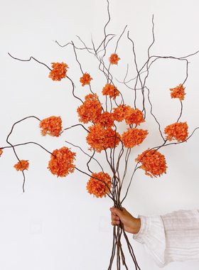 橙色浅粉色绣球真花干花永生花花束家居插花装饰摆件龙柳枝意境感
