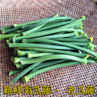 新鲜南瓜藤带皮南瓜杆湖南怀化农家自种老瓜藤时令蔬菜500克