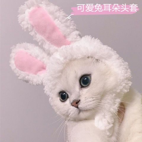 网红宠物小猫咪兔耳朵头套保暖帽子可爱抖音搞怪拍照头饰生日装扮