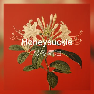 【新香新灵感】忍冬精油 馥郁浓郁花香 清冽甜香