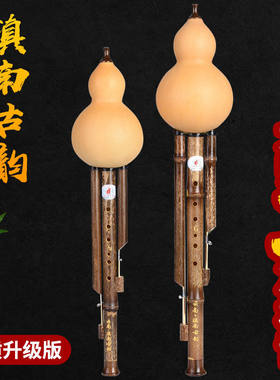 葫芦丝专业演奏型滇南古韵