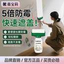 嘉宝莉滚筒漆白墙面修补膏补墙漆室内修复家用自刷内墙乳胶翻新漆