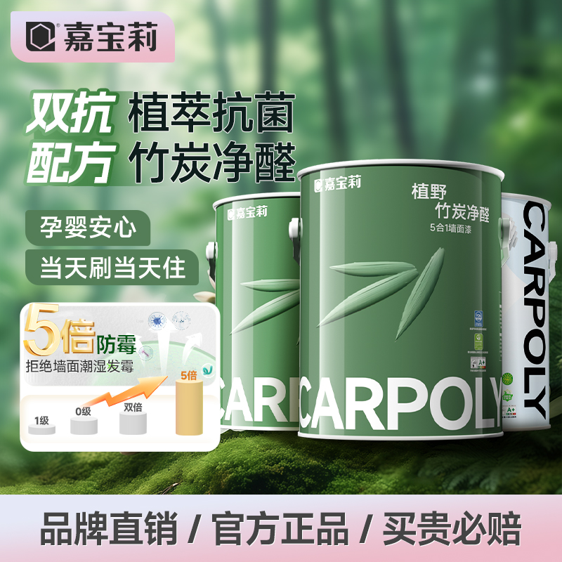 嘉宝莉竹炭净醛乳胶漆孕婴首选