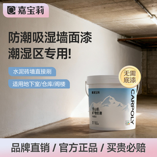 嘉宝莉防结露墙面漆室内外墙漆家用地下室防潮底面防水石灰涂料