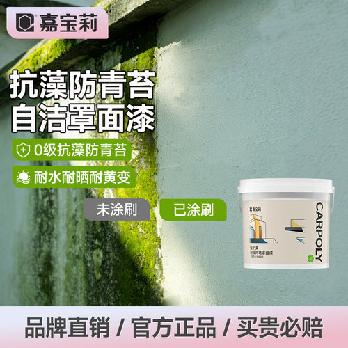 嘉宝莉外墙罩面漆荷叶耐污黑科技