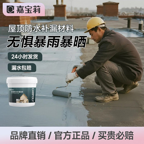 嘉宝莉屋顶防水补漏材料堵漏王