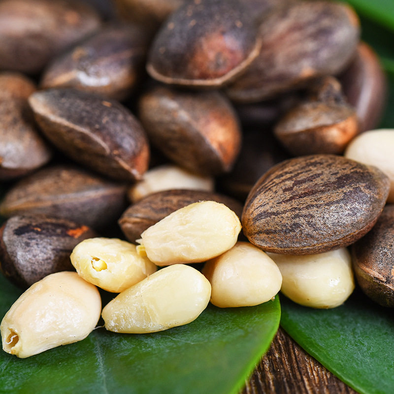 2024年头茬云南深山落水松子新鲜松子云南新鲜野生大颗粒原味坚果