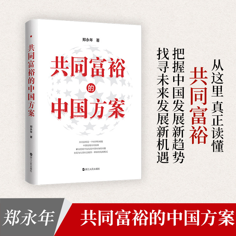 共同富裕的中国方案郑永年著