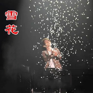 雪花纸掌中飞雪成人舞台演出年会魔术道具震撼街头刘谦