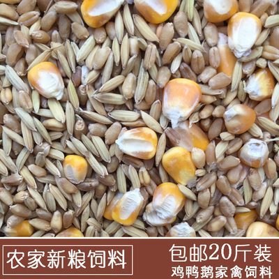 农家新粮稻谷小麦玉米籽鸽子鸡鸭鸟宠物饲料鸟食鸽粮钓鱼20斤包邮
