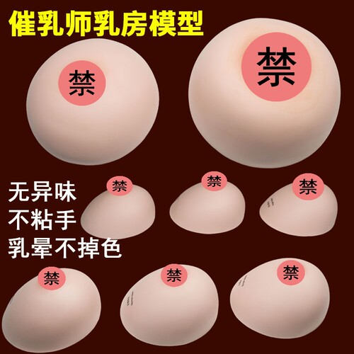 催乳师培训实操乳房模型 哺乳期/未孕期乳腺教具 异常乳头模型
