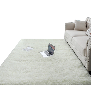 馨居加厚可水洗丝毛客厅卧室茶几地毯飘窗床边地垫满铺地毯可定做