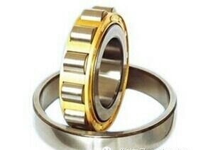 TMB天马轴承RN203 RN204 RN205 RN206 RN207 RN208 RN209 RN210M