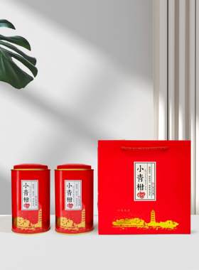 萍醴包装小青柑散装茶叶罐礼盒