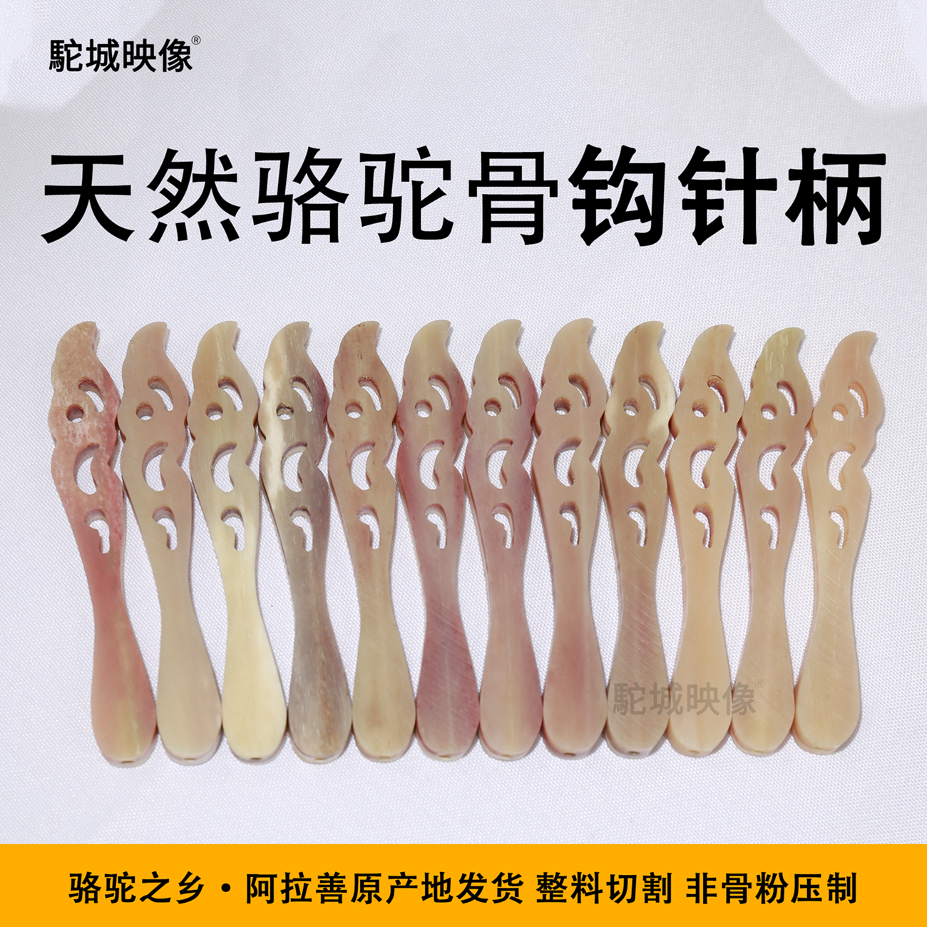 驼城映像骆驼骨天然保真
