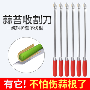 抽蒜薹神器蒜苔收割刀蒜苔器的工具刮划剥拔打蒜苔神器蒜薹收割刀