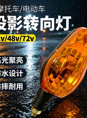 投影转向灯电动车三轮车改装led九号通用大灯刹车尾灯前转方向灯