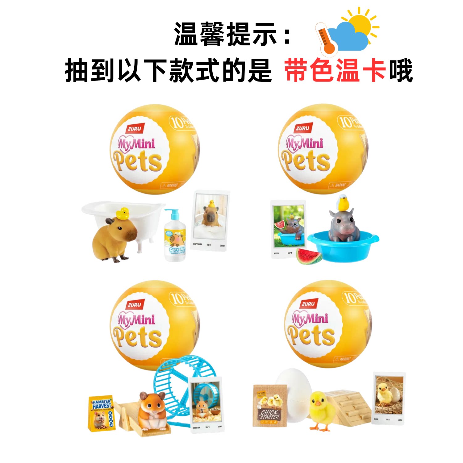 打造自己的微型宠物世界~