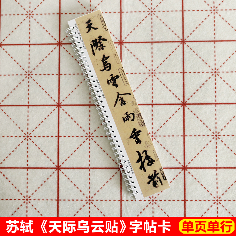 近距离卡苏东坡行书字帖