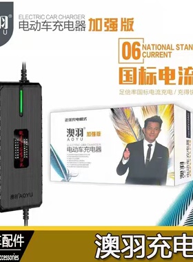 自动断电两轮三轮电动车充电器48V20Ah60V20Ah72v20Ah32A澳羽正品