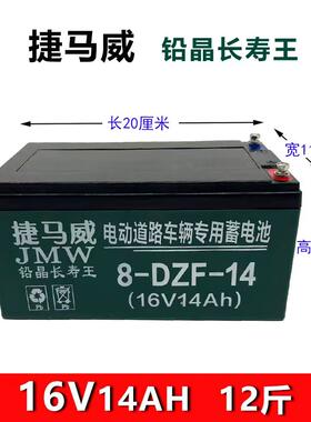 全新正品电动车干电瓶