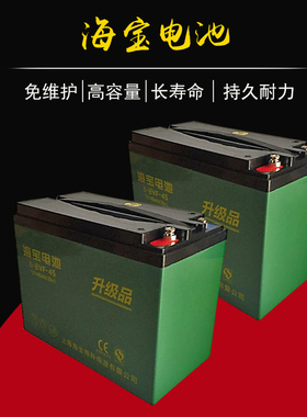 电动车二轮三轮车电池电摩车货运车电瓶12V蓄电池48V60V45AH海宝