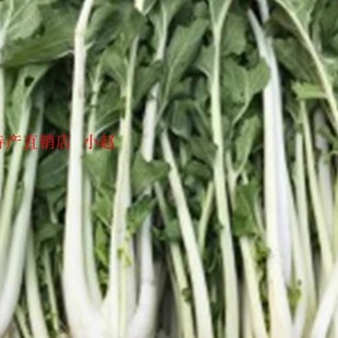 新鲜长杆白菜箭杆嫩白菜心可以炒着吃一斤6元拍5斤包邮