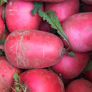 湖北广水特产自家种植的新鲜红皮萝卜一斤6元拍5斤包邮