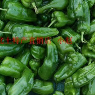 湖北广水特产自家种植的新鲜薄皮青椒 虎皮椒一斤8元拍5斤包邮