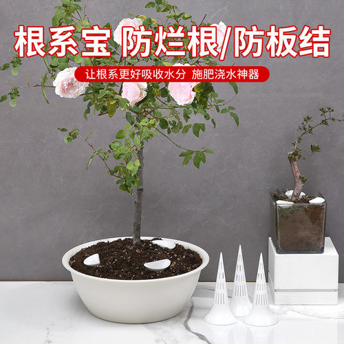 根系宝花盆垫片透气锥形防烂根沥水罩花卉绿植底部漏水垫底孔垫