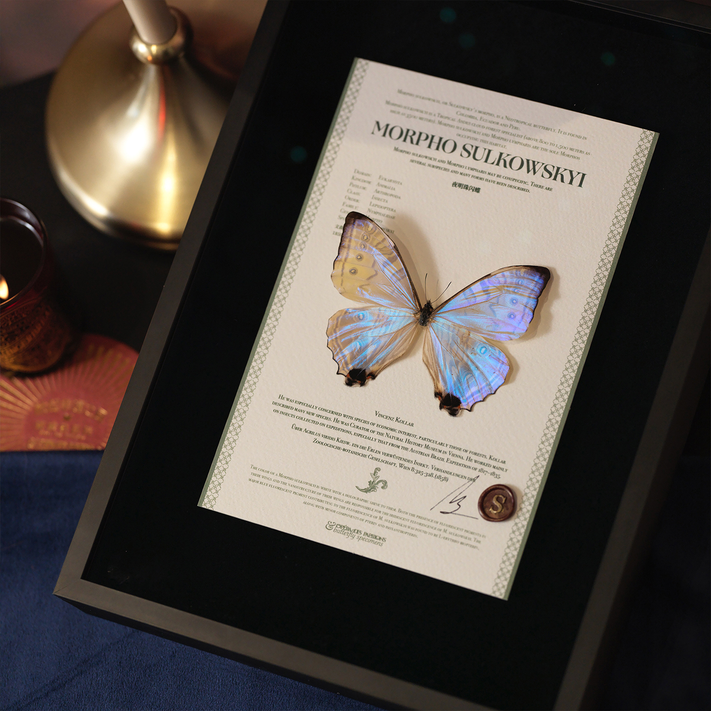 原创标本情人节氛围感生日礼物品