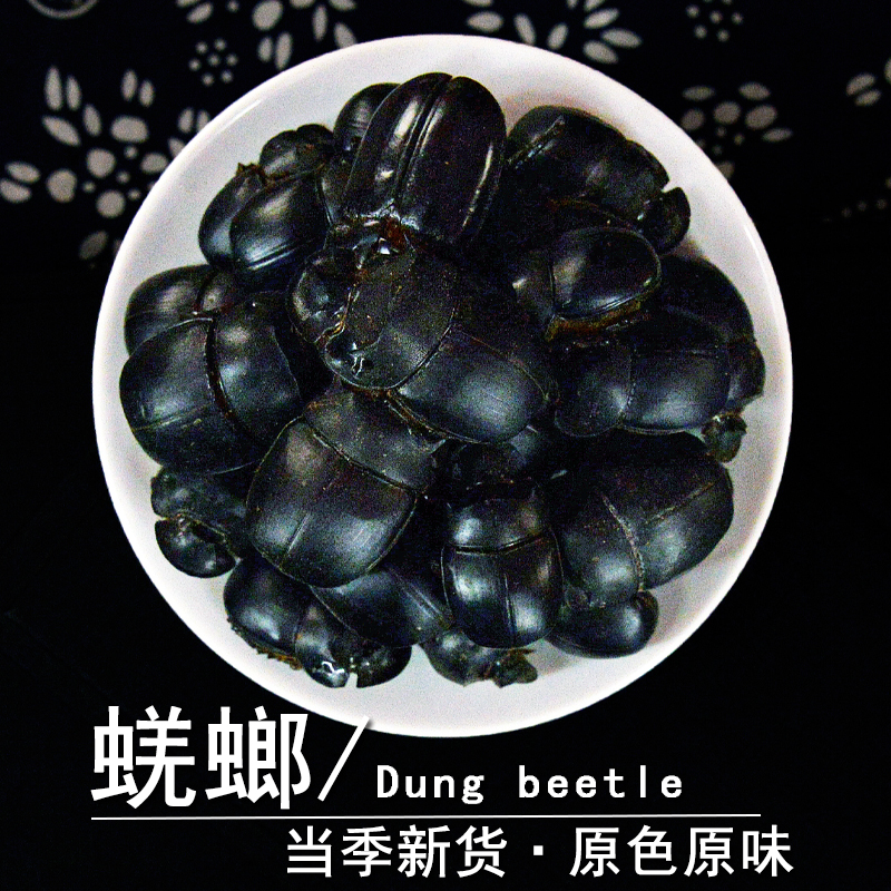 蜣螂中药材静萱正品蜣螂虫干货屎壳郎推粪虫大将军虫非野生蜣螂粉