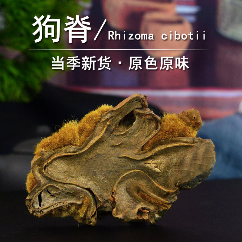 狗脊中药材静萱正品金毛狗脊粉强脊扶筋狗青苟青非野生烫炒黄狗脊
