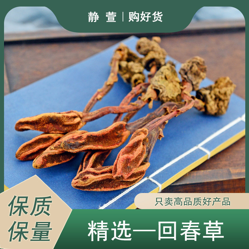 回春草中药材静萱正品云南深山顶天柱干货地灵芝根非野生回春草粉