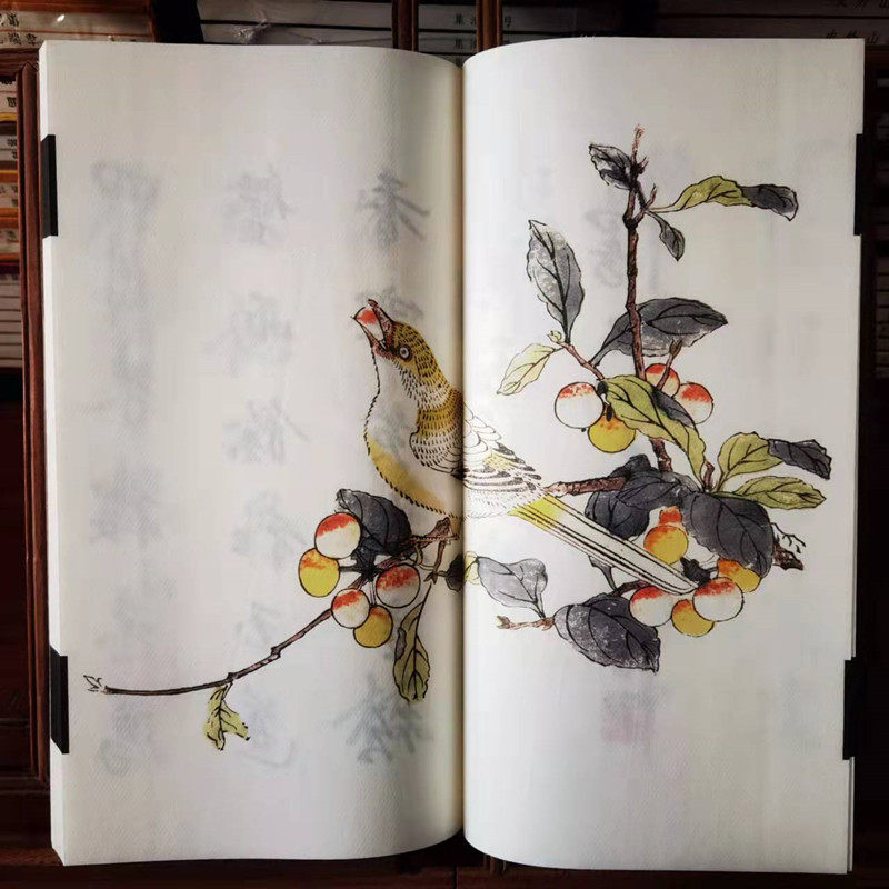 十竹斋书画谱 宣纸线装2函8册 胡正言古书画谱