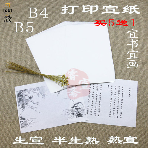 打印宣纸B4古籍家谱线装书宣纸打印纸B5书法国画字帖生宣半生熟宣 - 封面