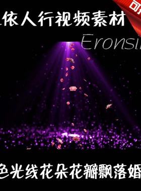 LED舞台大屏幕背景素材VJ素材 紫色光线粒子花朵花瓣飘落婚礼浪漫