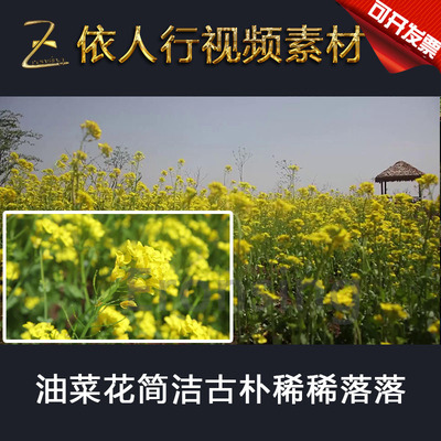 LED素材大屏幕舞台视频背景素材 油菜花随风飘扬草屋树木花海春天