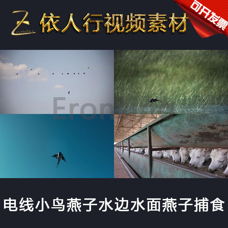 led素材大屏幕舞台视频背景素材 电线小鸟燕子水边水面燕子捕食