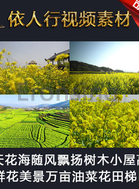 LED素材大屏幕舞台视频背景素材 春天花海万亩油菜花田鲜花美景
