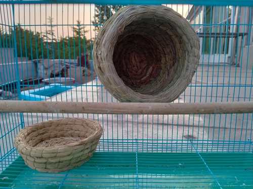 芦丁鸡鹌鹑斑鸠玄凤珍珠保暖