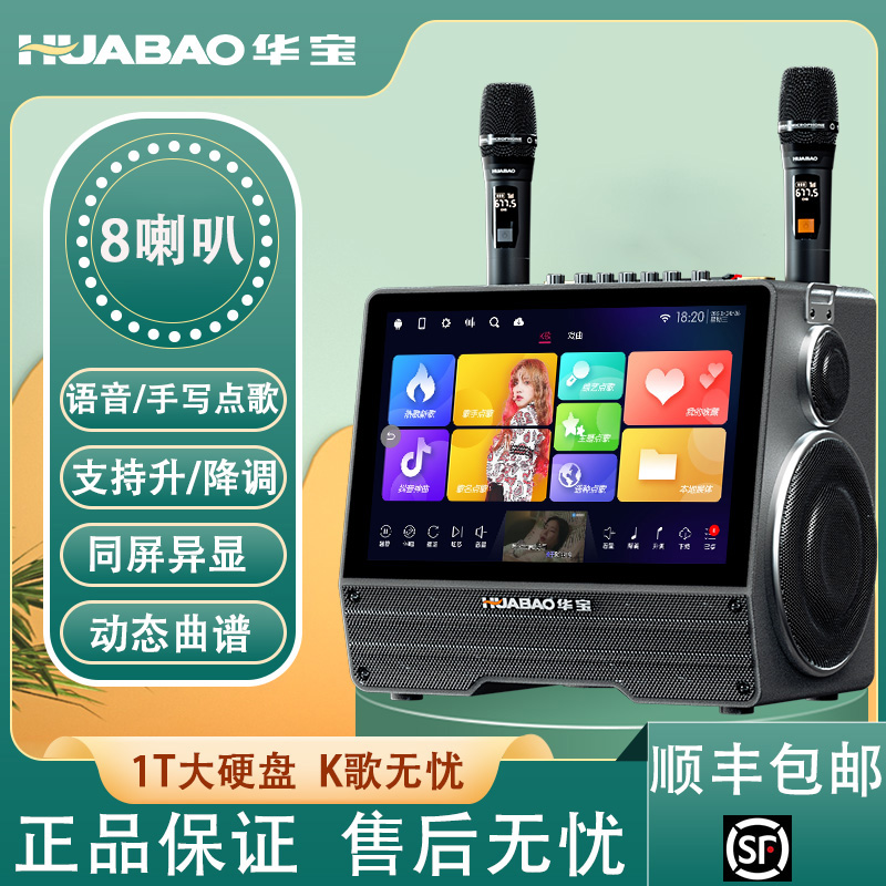 华宝广场舞音响带显示屏手提音箱户外演出家用唱k歌移动ktv一体机