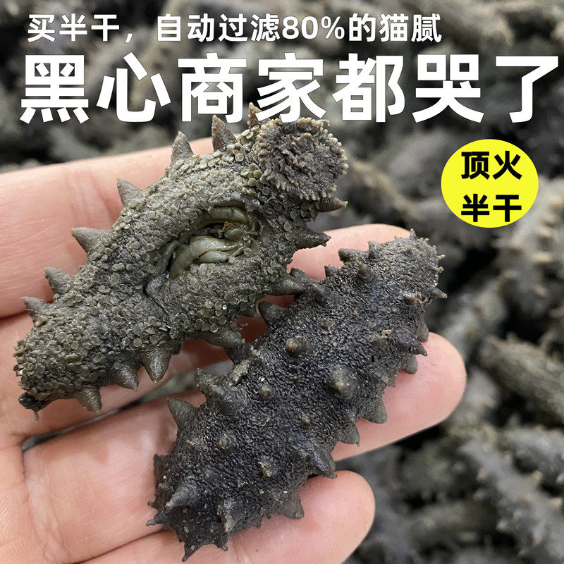 半干海参野生拉缸长岛500克孕妇