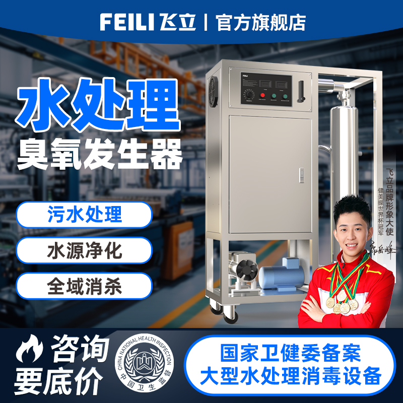 飞立高浓度臭氧水机水处理消毒机垃圾站冲洗半导体用臭氧发生器